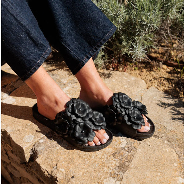 Camelia Black