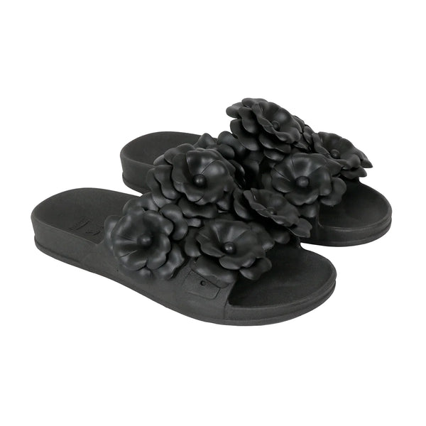 Camelia Black