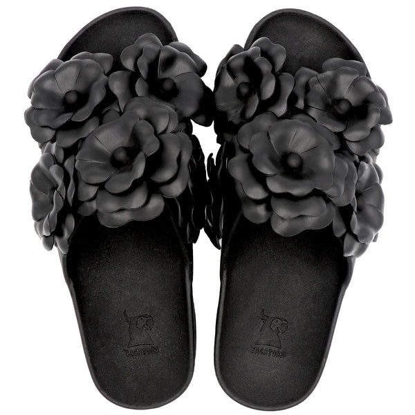Camelia Black