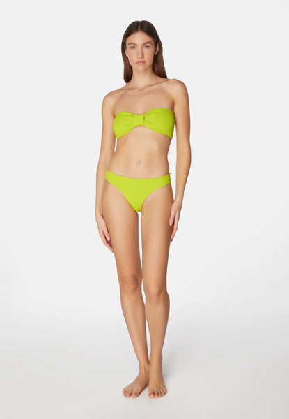Lory Lime