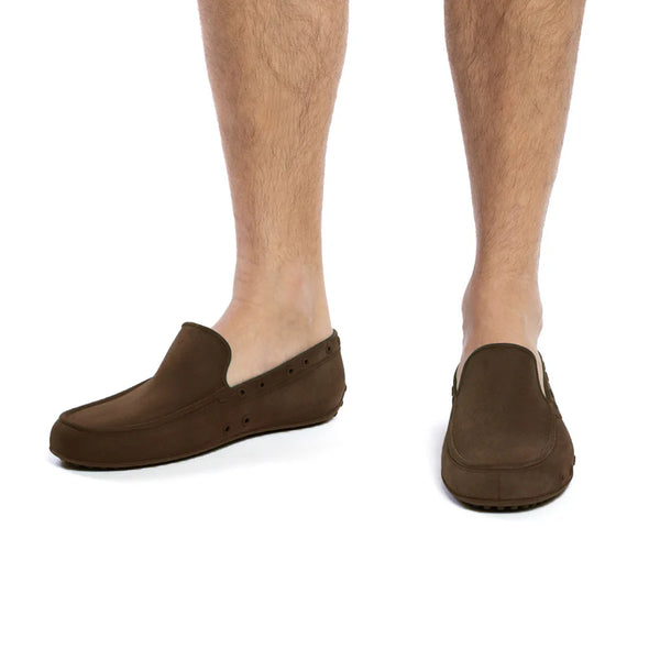Iate Brown