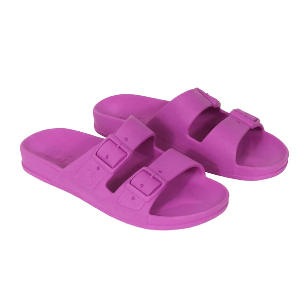 Bahia Purple
