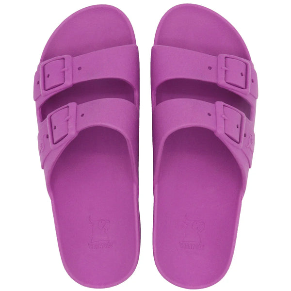 Bahia Purple